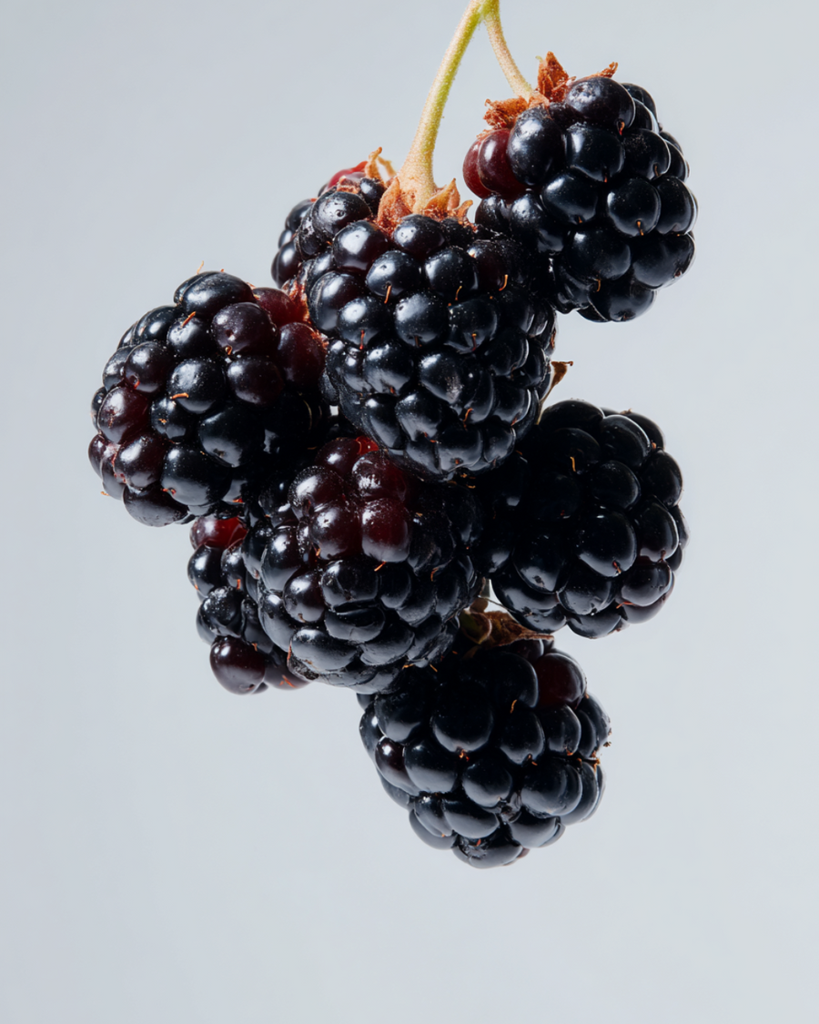 Can Anthocyanins Support Screen-Heavy Lifestyles?