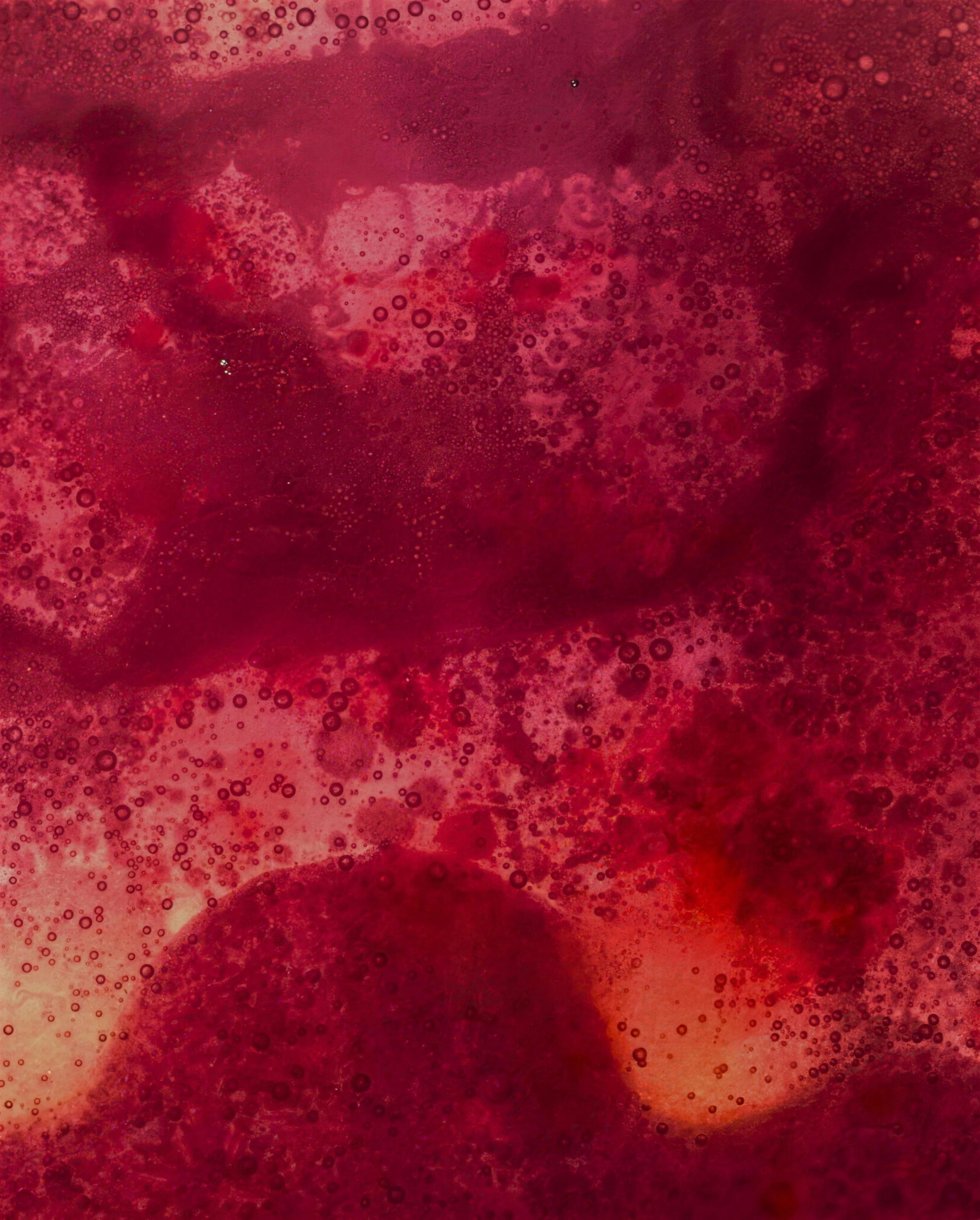 Fig. 01 — The VysioBerry Blend, magnified