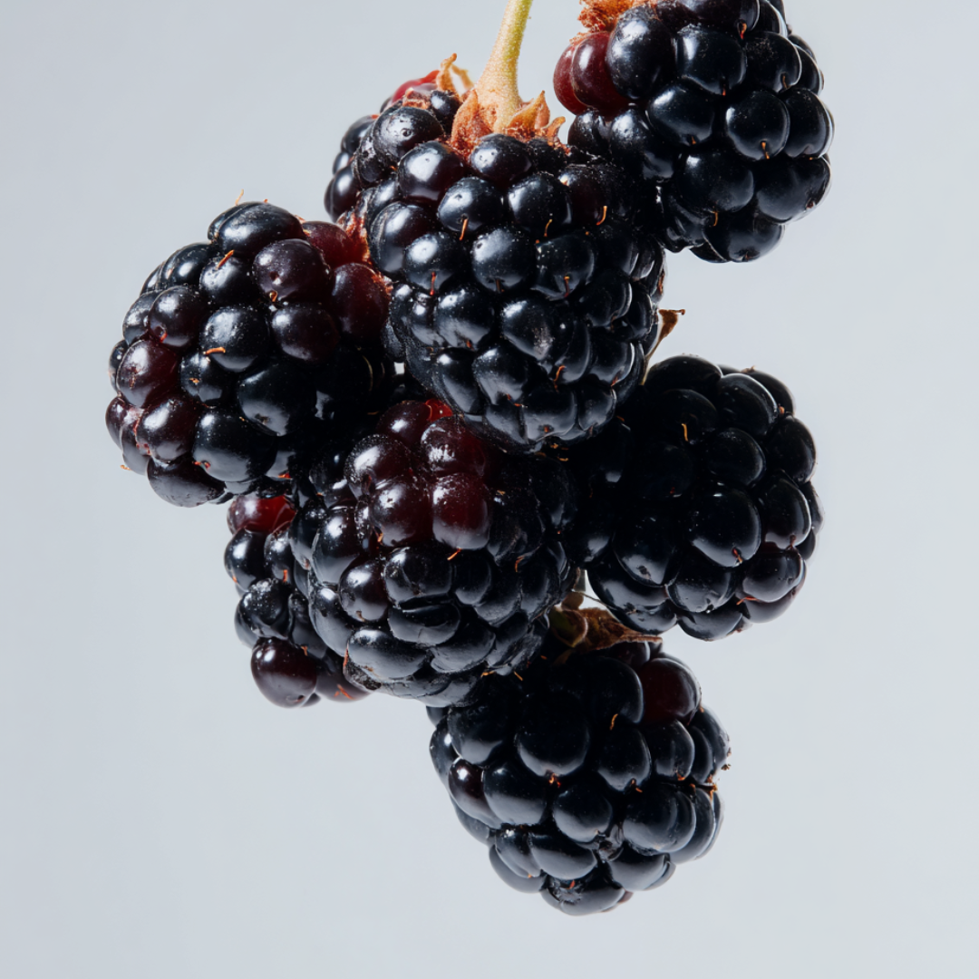 Can Anthocyanins Support Screen-Heavy Lifestyles?