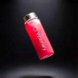 Vysionary 500ml Shaker Bottle