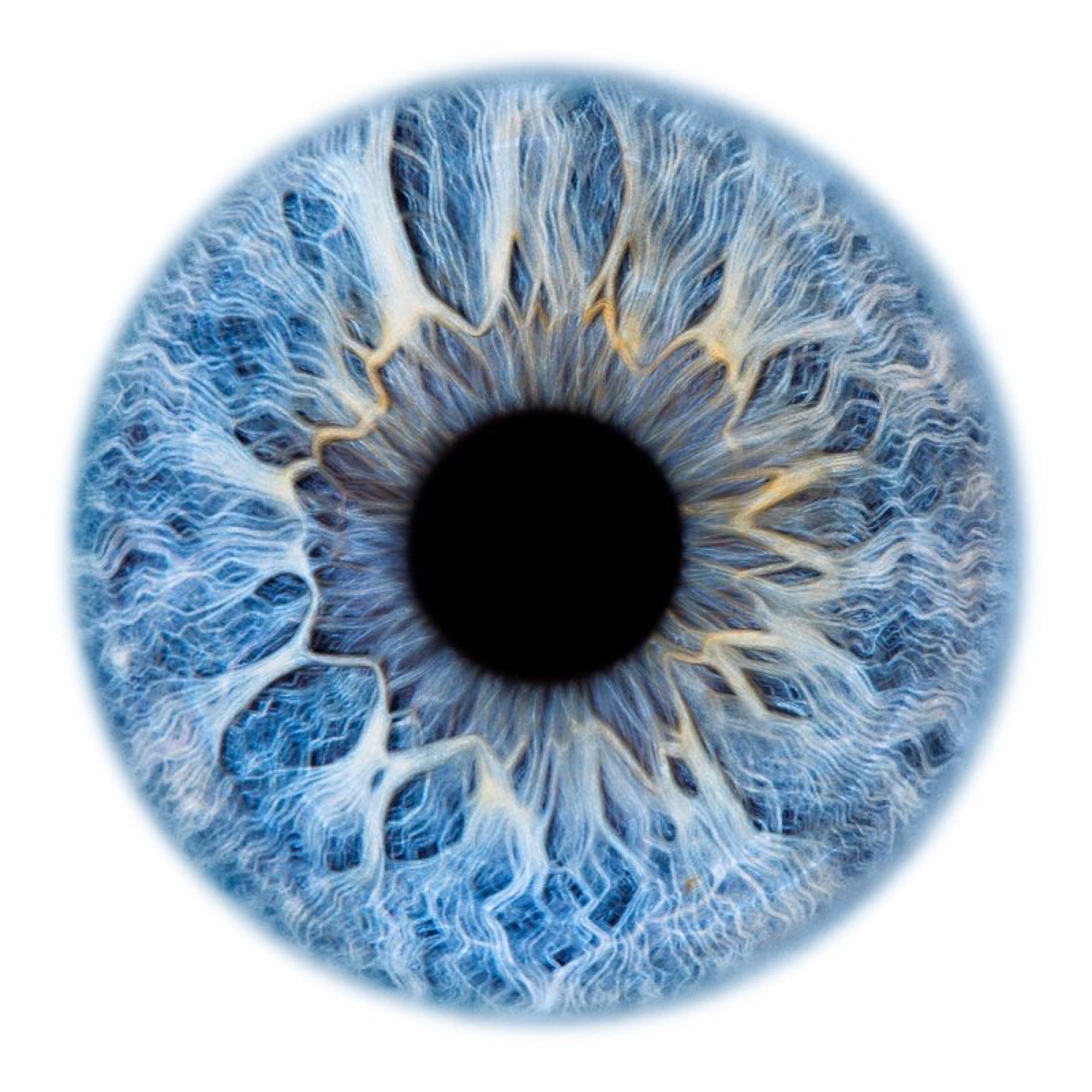 Macro photograph of a human eye