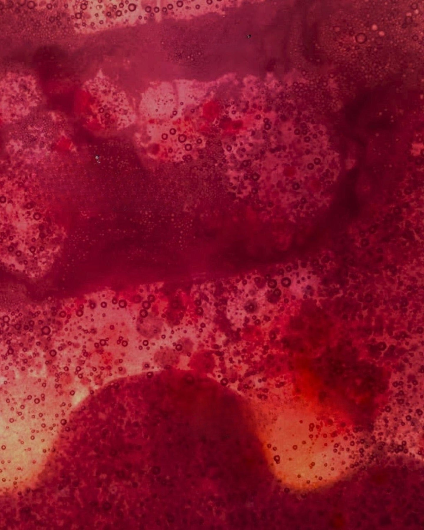 Deep red wild berry texture, macro
