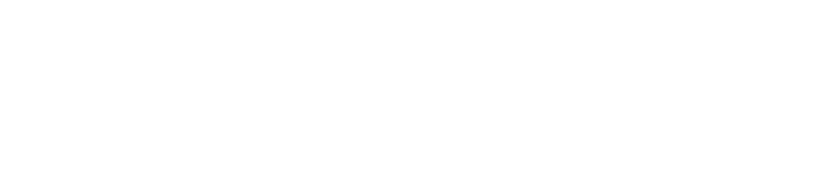 Vysionary